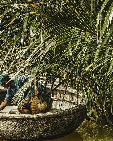 Traditional basket boat among palms
